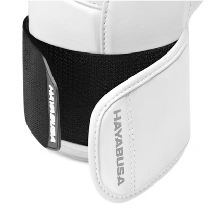 T3 Kanpeki Boxing Gloves