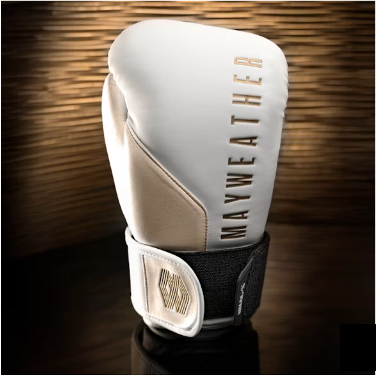 Mayweather Champ Boxing Gloves